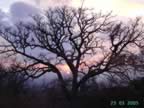 Tramonto dai castagneti di Castel del Piano (48kb)
